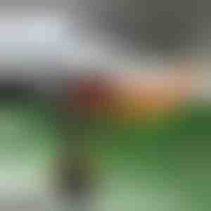 Autoverwarming en voorruitontdooier | TURBOCUP