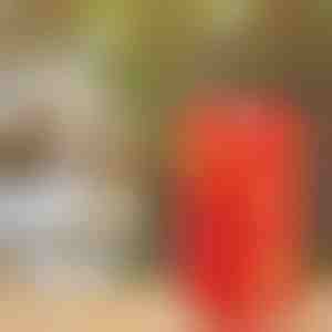 Bellenblaasmachine | BUBBLEXPLODER