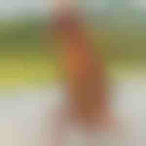 Dinosaurus opblaasbaar kostuum | TREXCOS