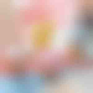 Wind-up springen kip speelgoed (5st) | CHIKLET