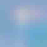 Ruitenreiniger | WINDCLEAN