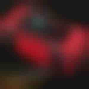 Intelligente voertuigaccu-oplader | EMERGIX