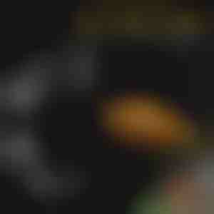 Aquarium voederbakset | FINTROL