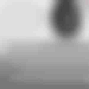 Sneldichtende spijkers voor bandenreparatie | VULCOFIX