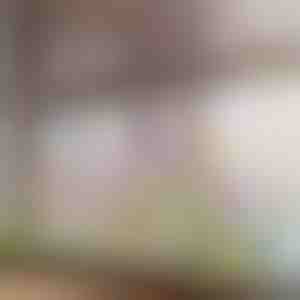 Levendige bloemenraamsticker | FLORASTIK