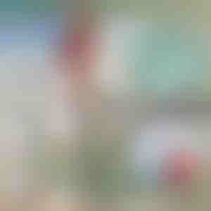 Uitschuifbare metalen boothaak | FASTDOCK