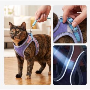 Verstelbaar suède kattentuigje | CATLORA